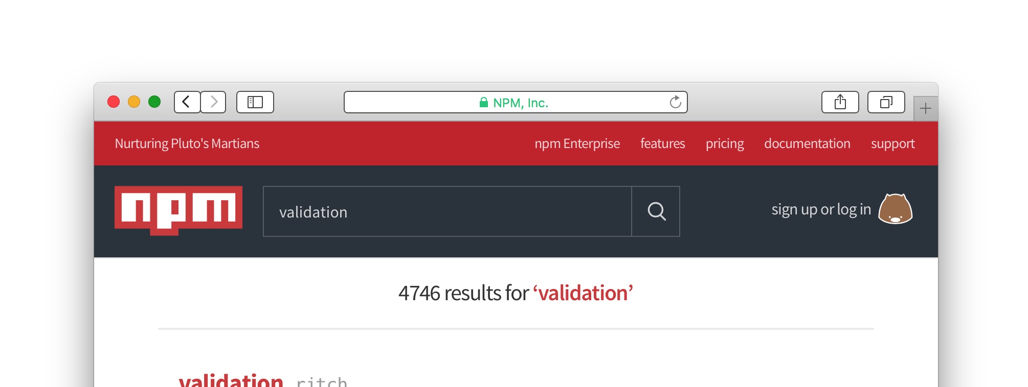 Searching validation on NPM